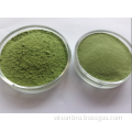 barley grass juice powder / high quality barley grass juice powder